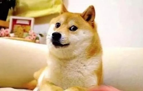 Dogecoin's market trends
